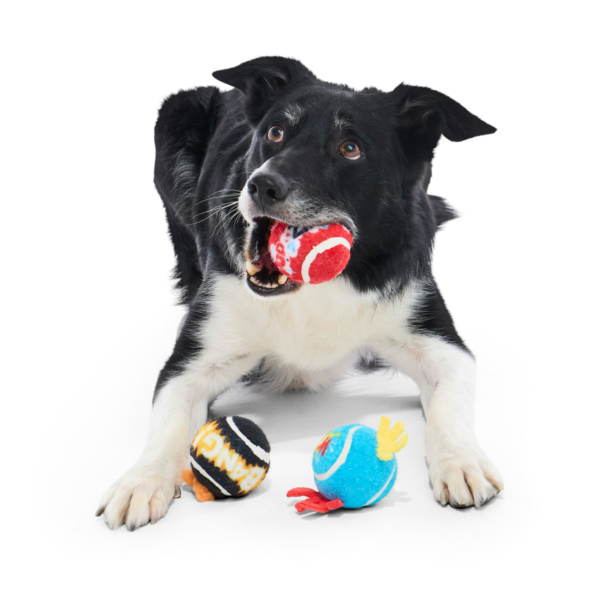 Tennis Ball Club, 3 Squeaky Monthly Tennis Ball Dog Toys