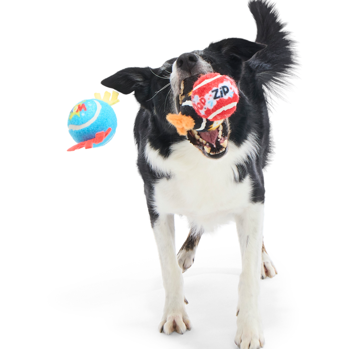 Tennis Ball Club, 3 Squeaky Monthly Tennis Ball Dog Toys