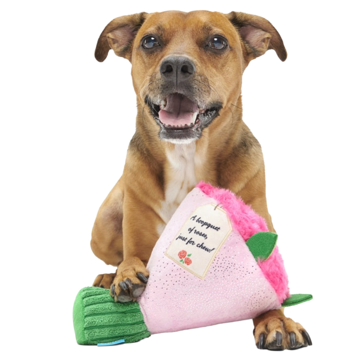 Boopquet of Roses Plush Tug Dog Toy