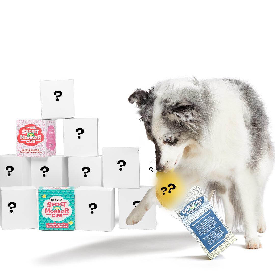 Secret Monster Club, Super Chewer Durable 2-in-1 Rip and Reveal Monthly Dog Toys