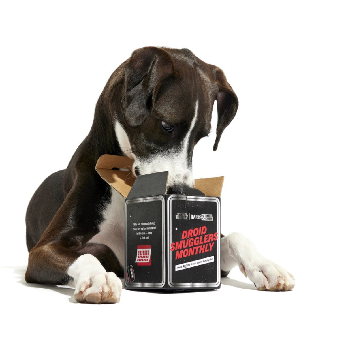 Star Wars™ Droid Smugglers Club, Super Chewer Durable Monthly Dog Toys