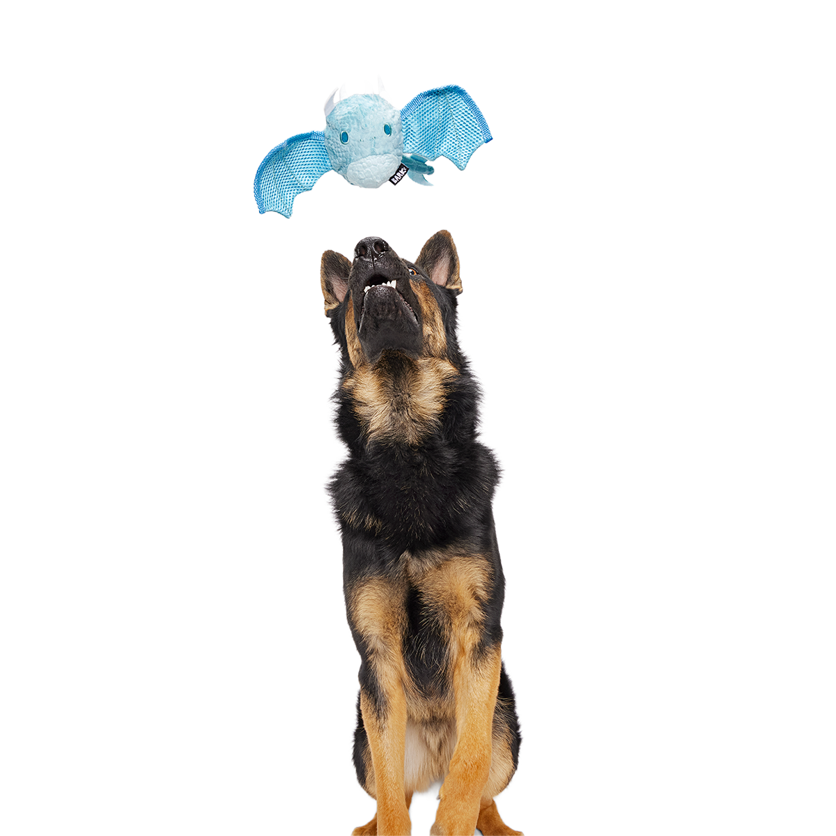 Brrrtha The Dragon Super Chewer Durable 2-in-1 + Tug + Fetch Dog Toy