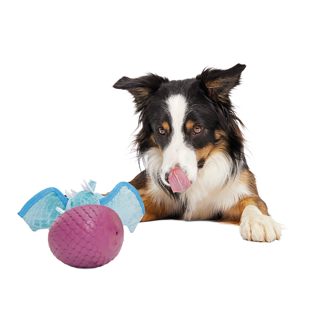 Brrrtha The Dragon Super Chewer Durable 2-in-1 + Tug + Fetch Dog Toy
