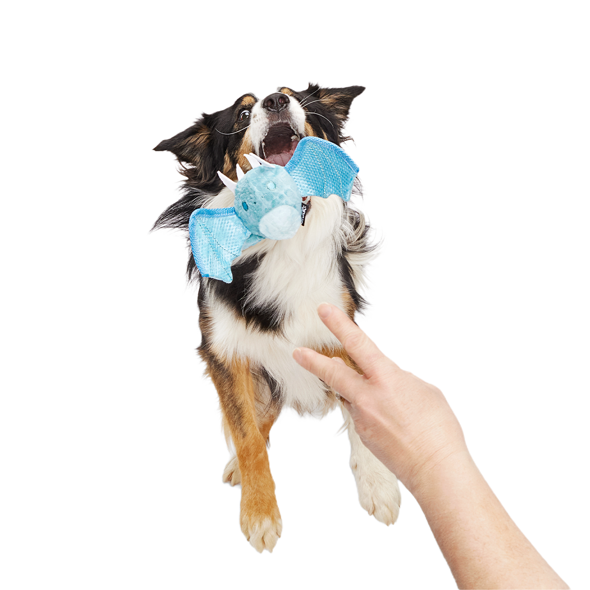 Brrrtha The Dragon Super Chewer Durable 2-in-1 + Tug + Fetch Dog Toy