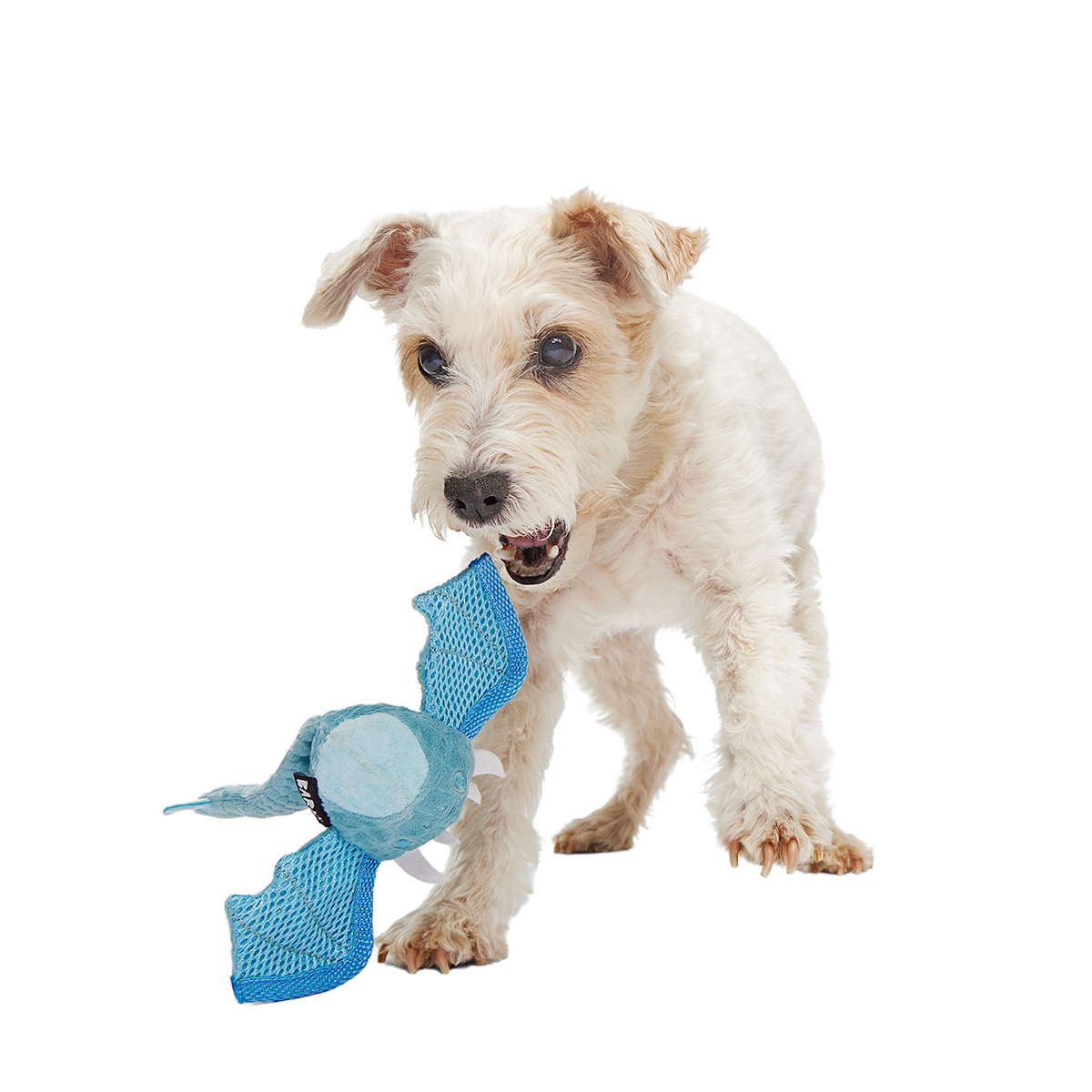Brrrtha The Dragon Super Chewer Durable 2-in-1 + Tug + Fetch Dog Toy