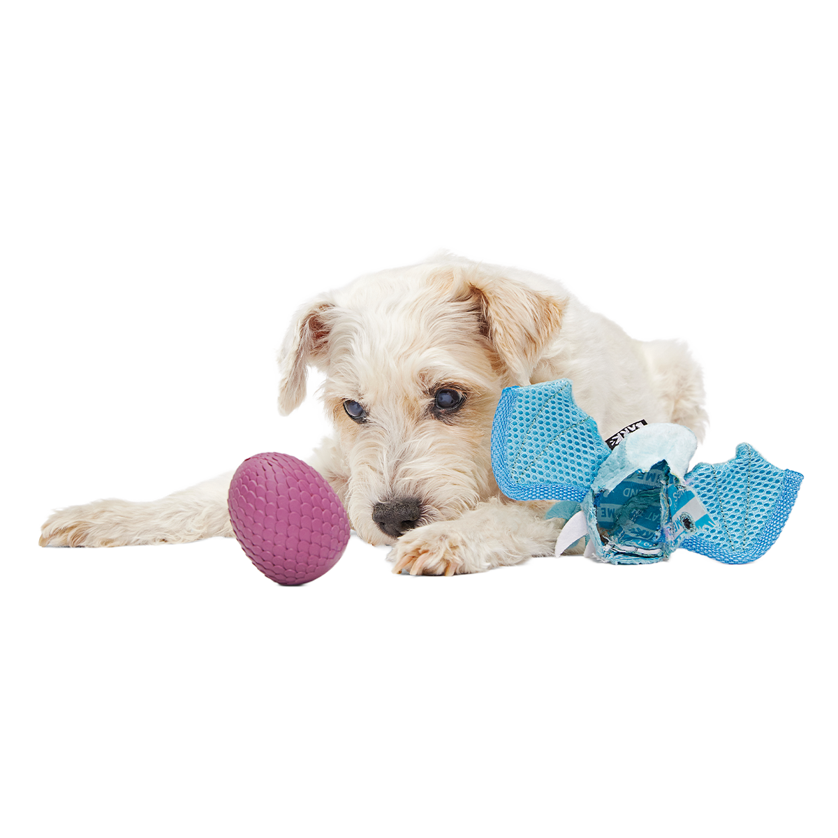 Brrrtha The Dragon Super Chewer Durable 2-in-1 + Tug + Fetch Dog Toy