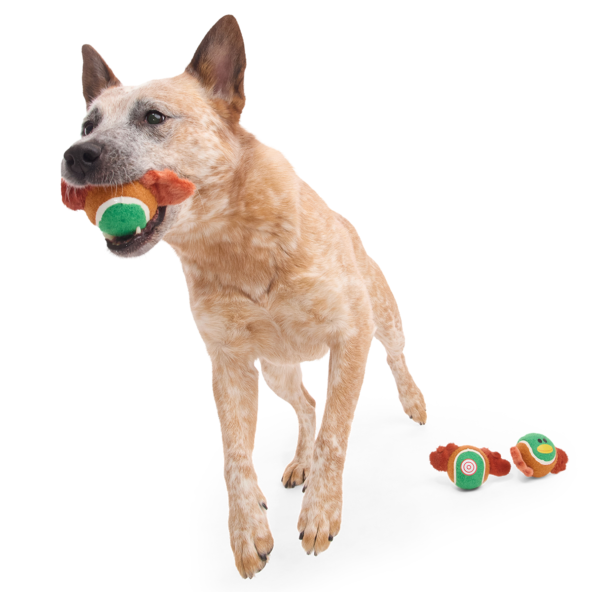 Tennis Ball Club, 3 Squeaky Monthly Tennis Ball Dog Toys