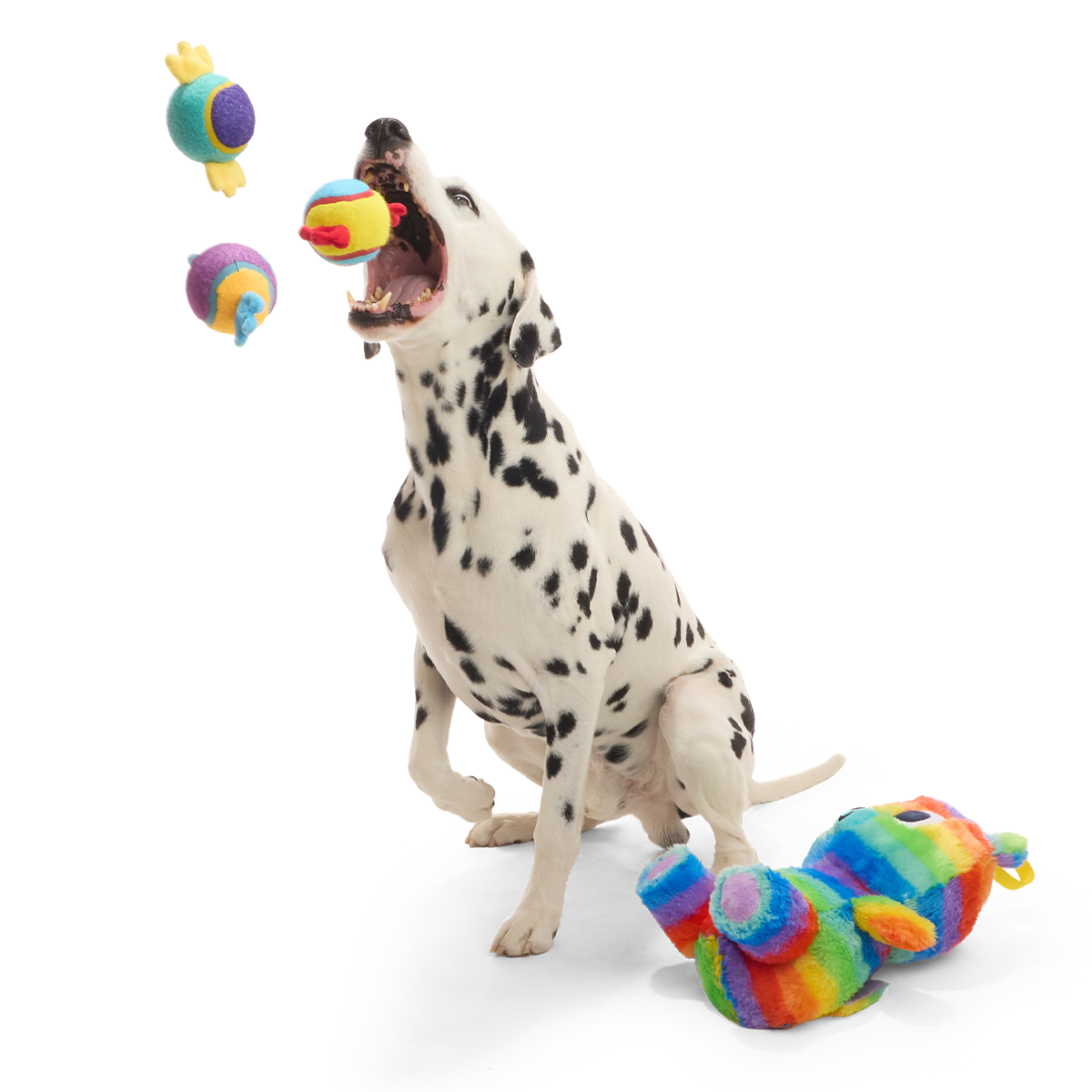 Buster the Piñata Plush Extra-Large + Multi-Part + Fetch Dog Toy