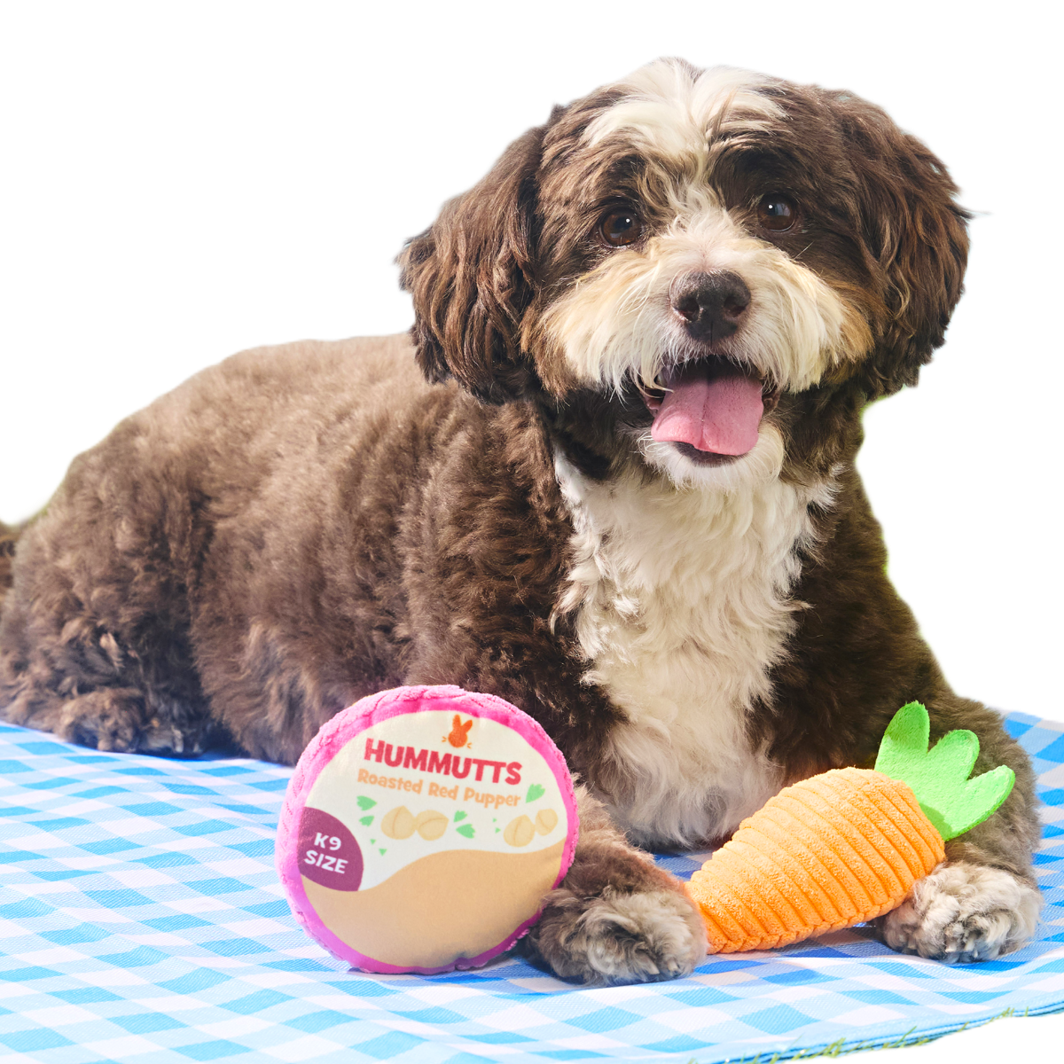 Carrot & Hummutts Plush Multi-Part Dog Toy