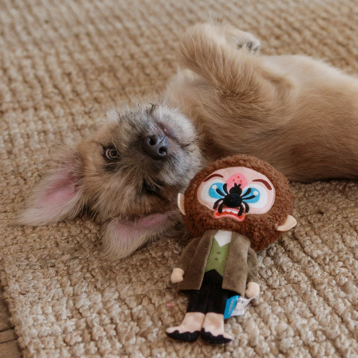 CLASSIC_208793_MARV_ZIGGY_002_cropped#Size_M/L