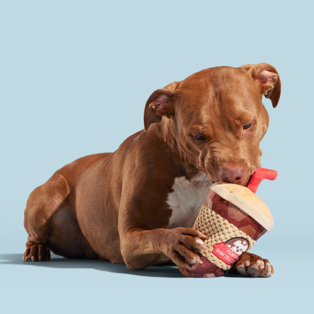 Cold Chew Coffee Plush Tug Dog Toy