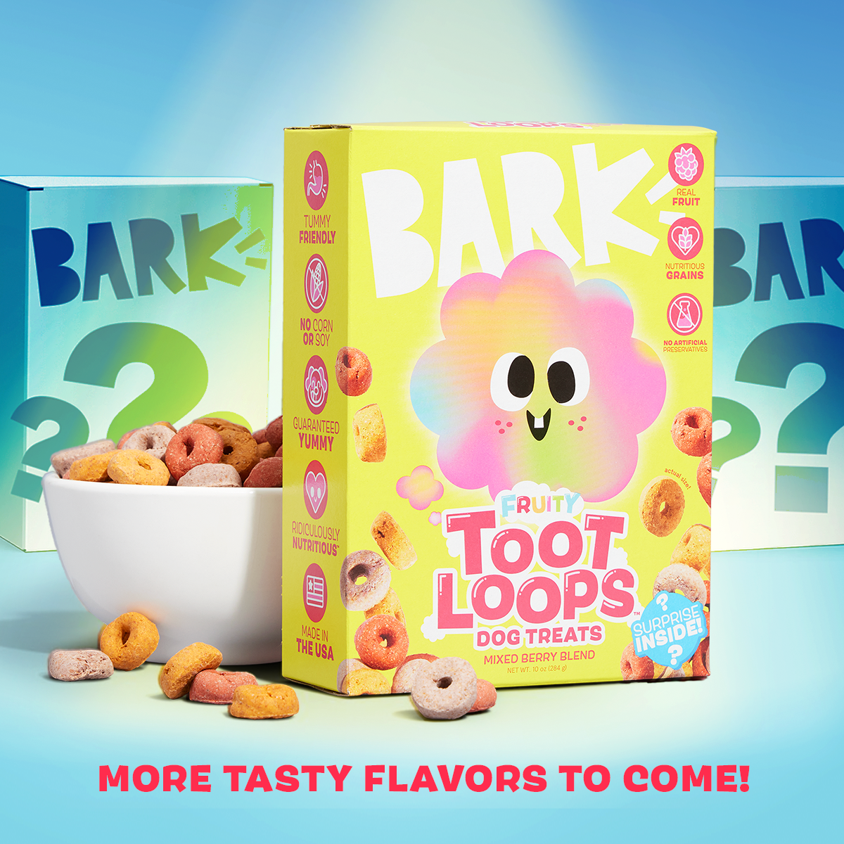Fruity Toot Loops™ Crunchy Dog Treats - Mixed Berry Blend
