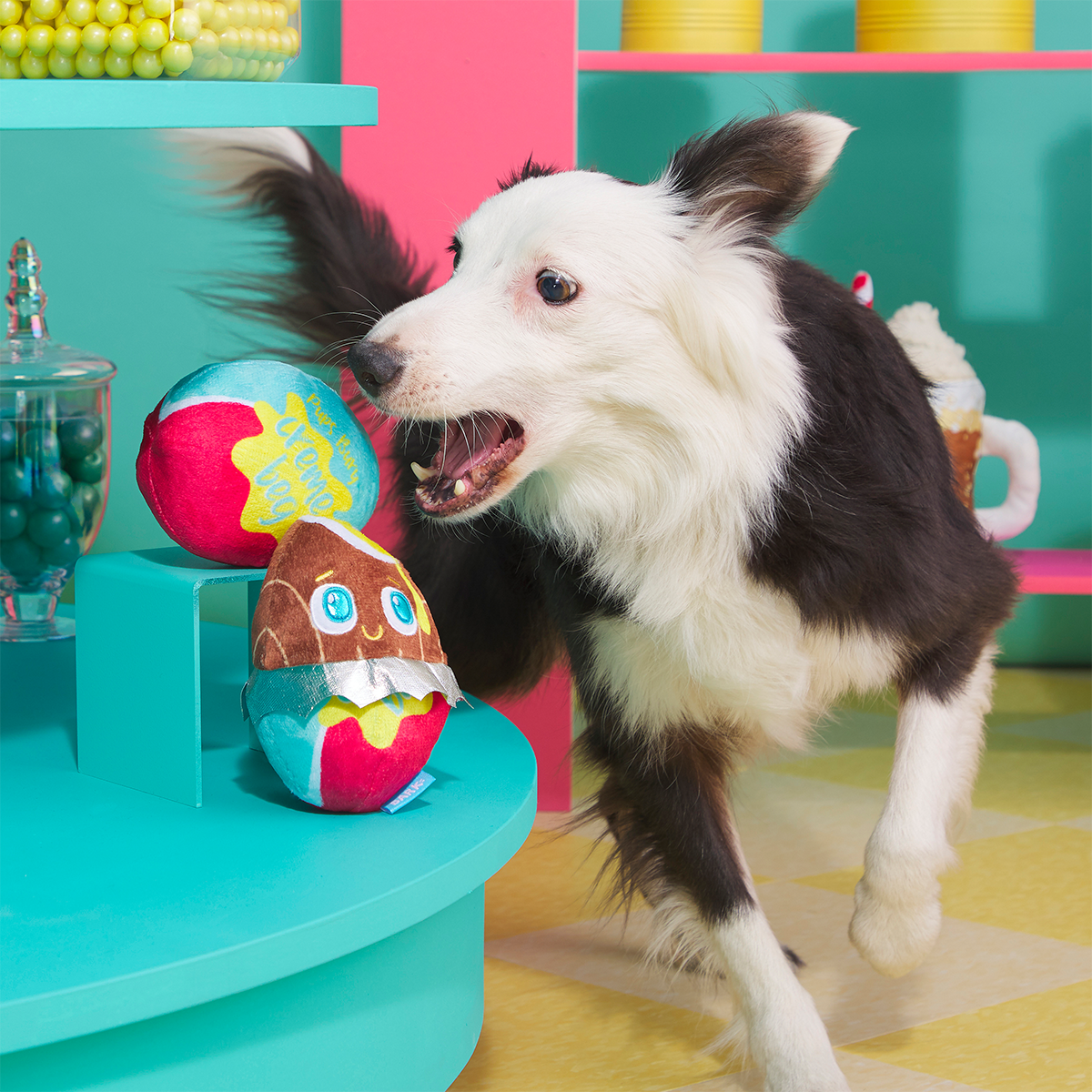 Cadfurry Eggs Plush Multi-Part + Fetch Dog Toy