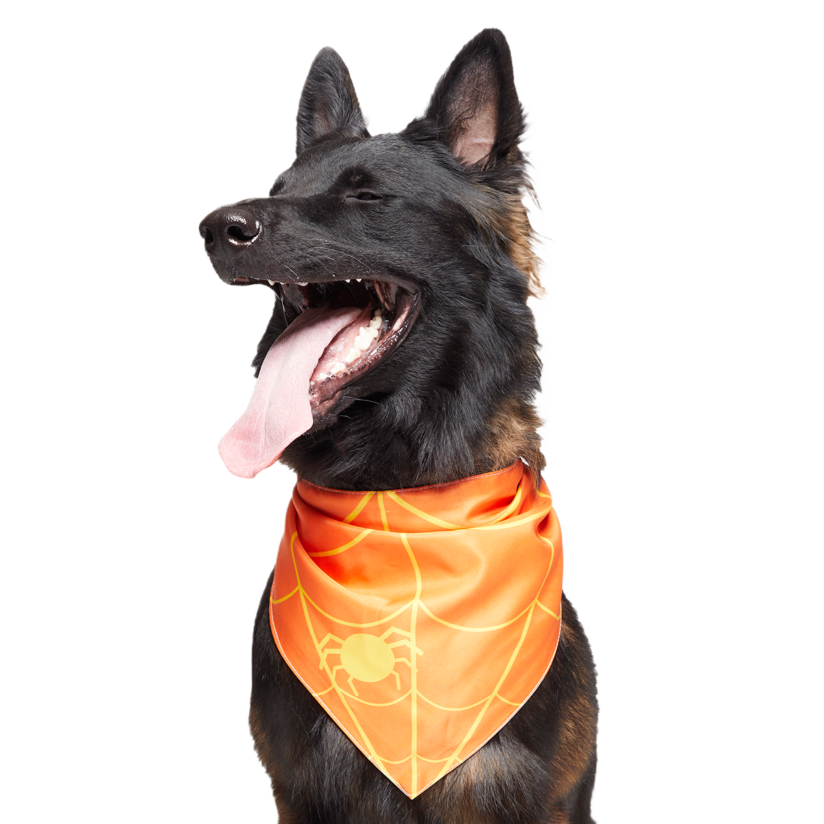 Candy Corn Dog Bandana
