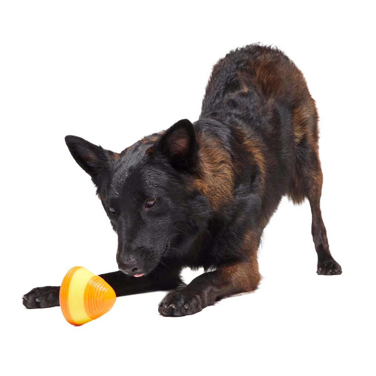 Canine Corn Super Chewer Durable Gnaw + Enrichment Dog Toy