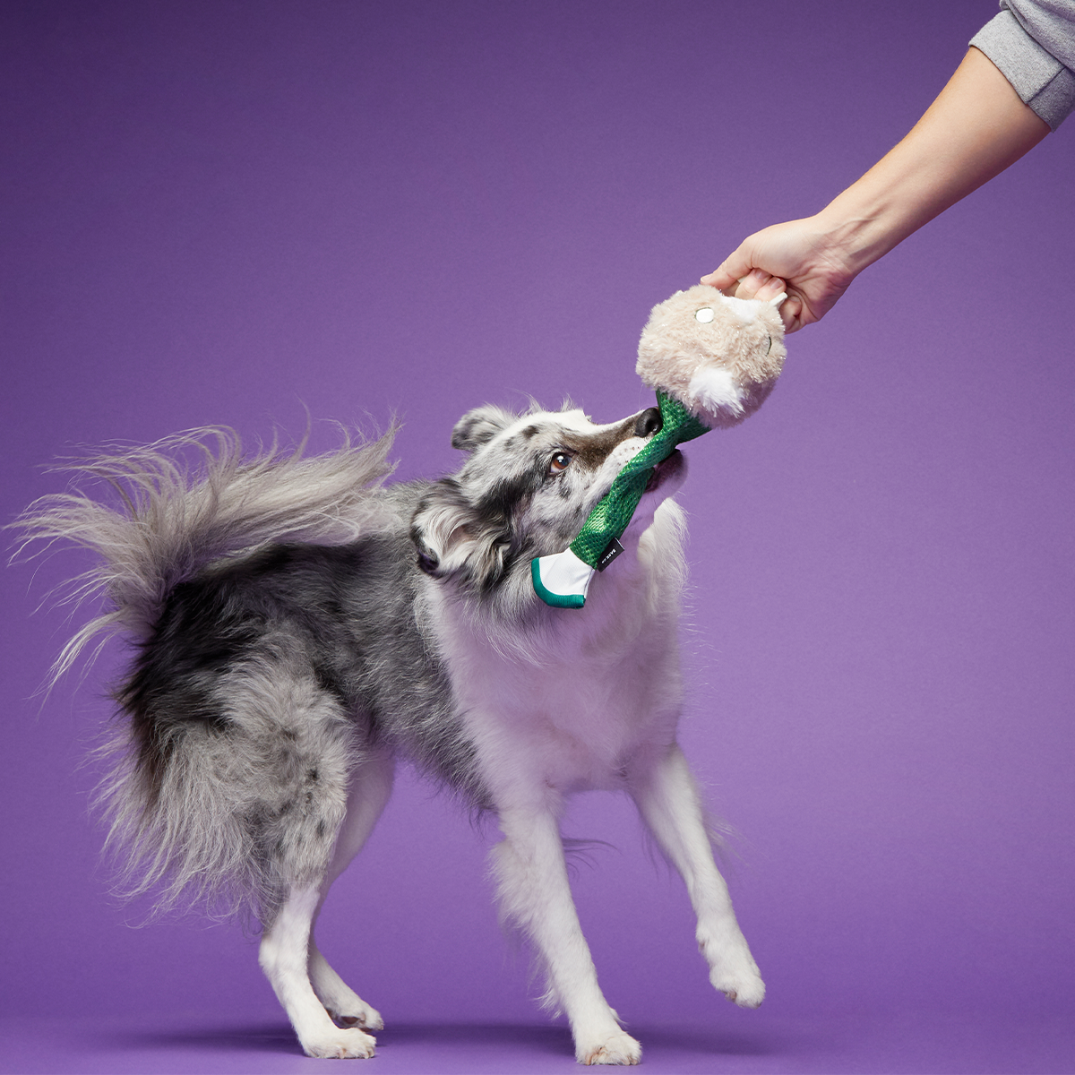 Capricorn Grappler Super Chewer Durable 2-in-1 + Tug + Fetch Dog Toy