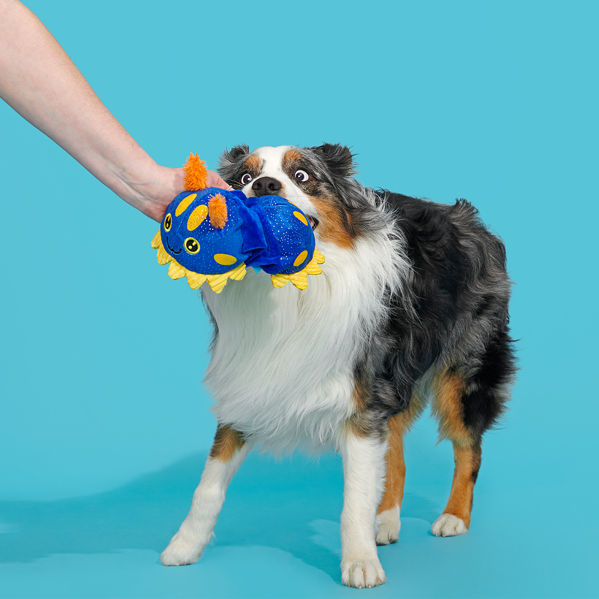 CeCe Slug Plush Tug Dog Toy