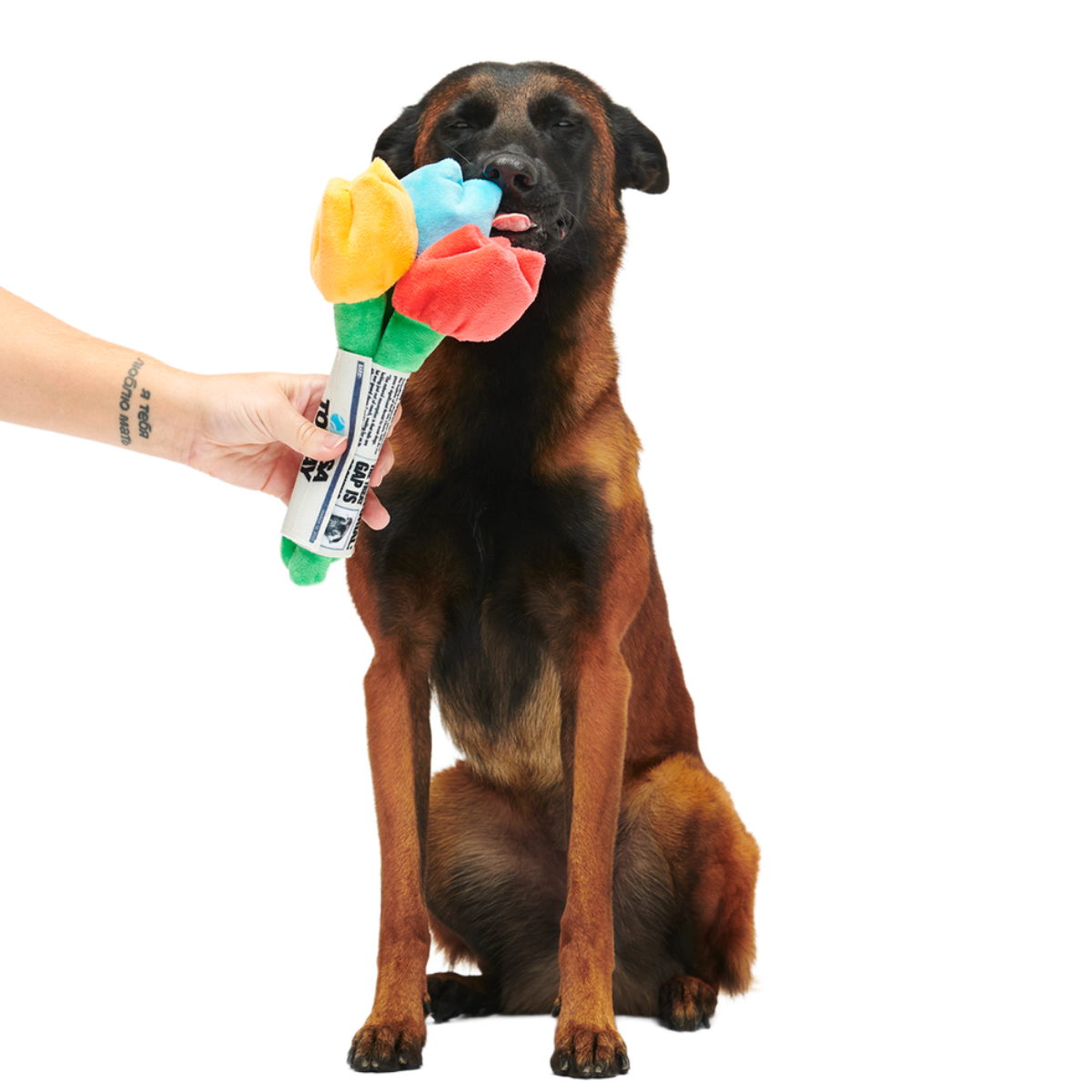 Cheer Up Boopquet Plush Tug + Multi-Part + Enrichment Dog Toy