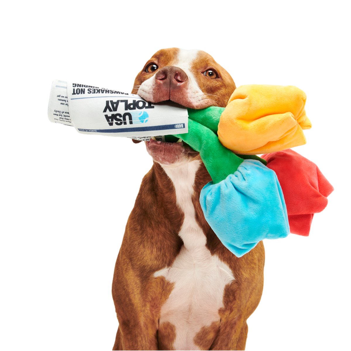 Cheer Up Boopquet Plush Tug + Multi-Part + Enrichment Dog Toy