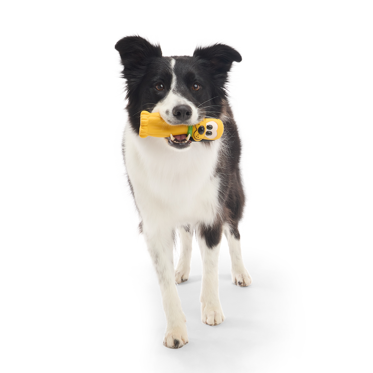 Chew Blue Pluto Super Chewer Durable Gnaw Dog Toy