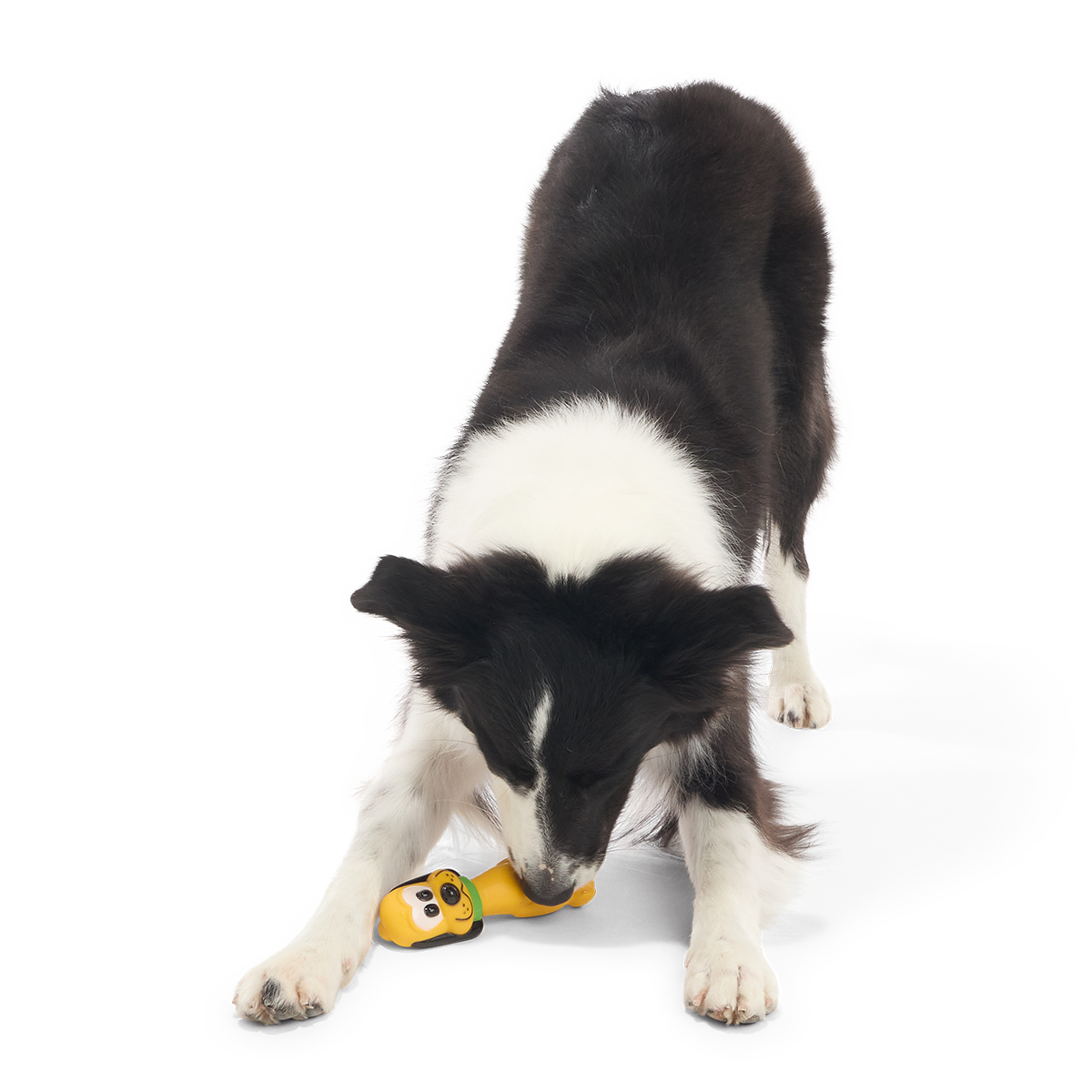 Chew Blue Pluto Super Chewer Durable Gnaw Dog Toy