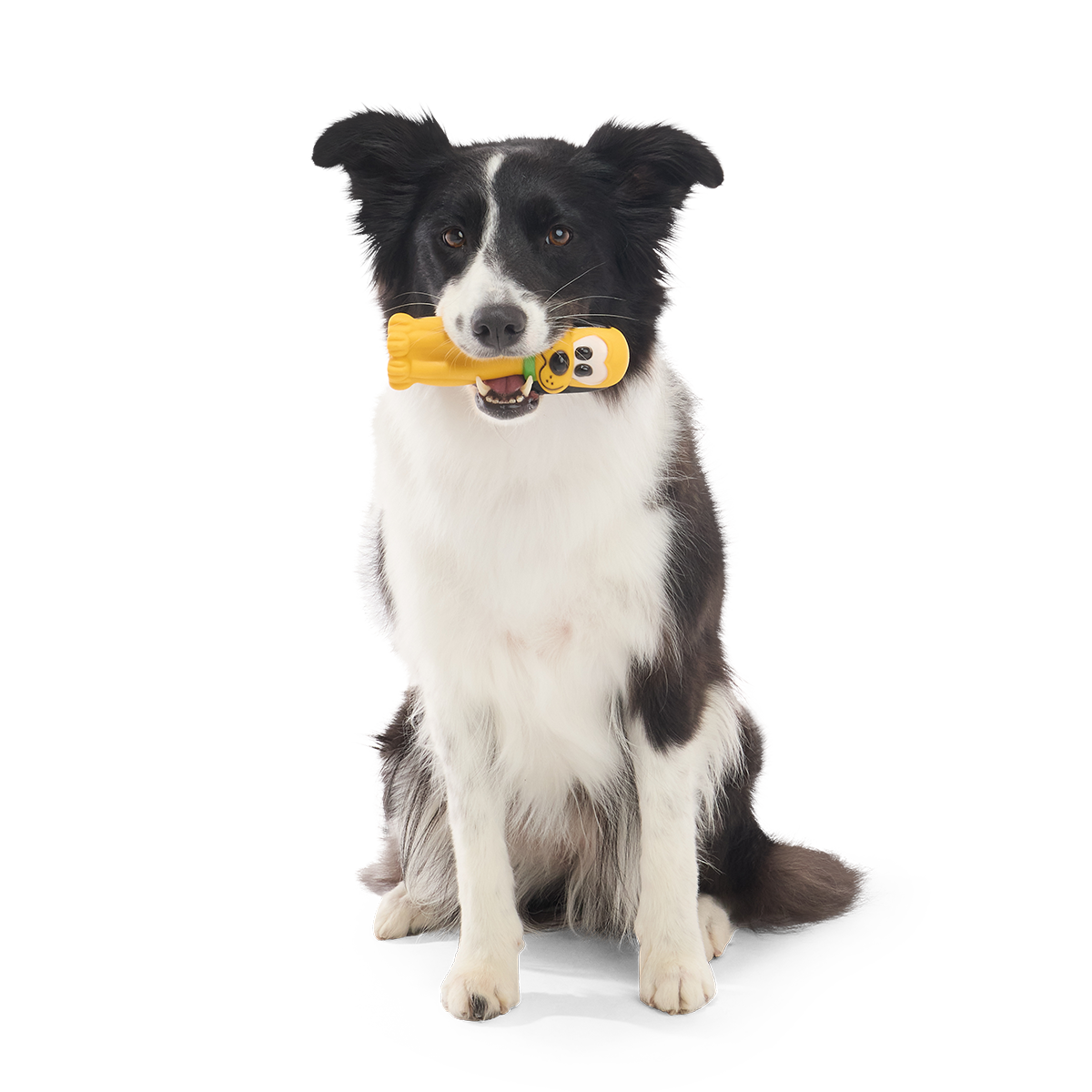 Chew Blue Pluto Super Chewer Durable Gnaw Dog Toy