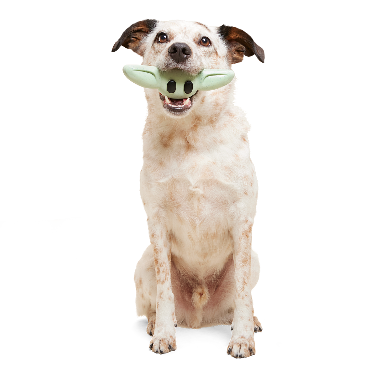 Chew and Chase Grogu™ Super Chewer Durable Gnaw Dog Toy