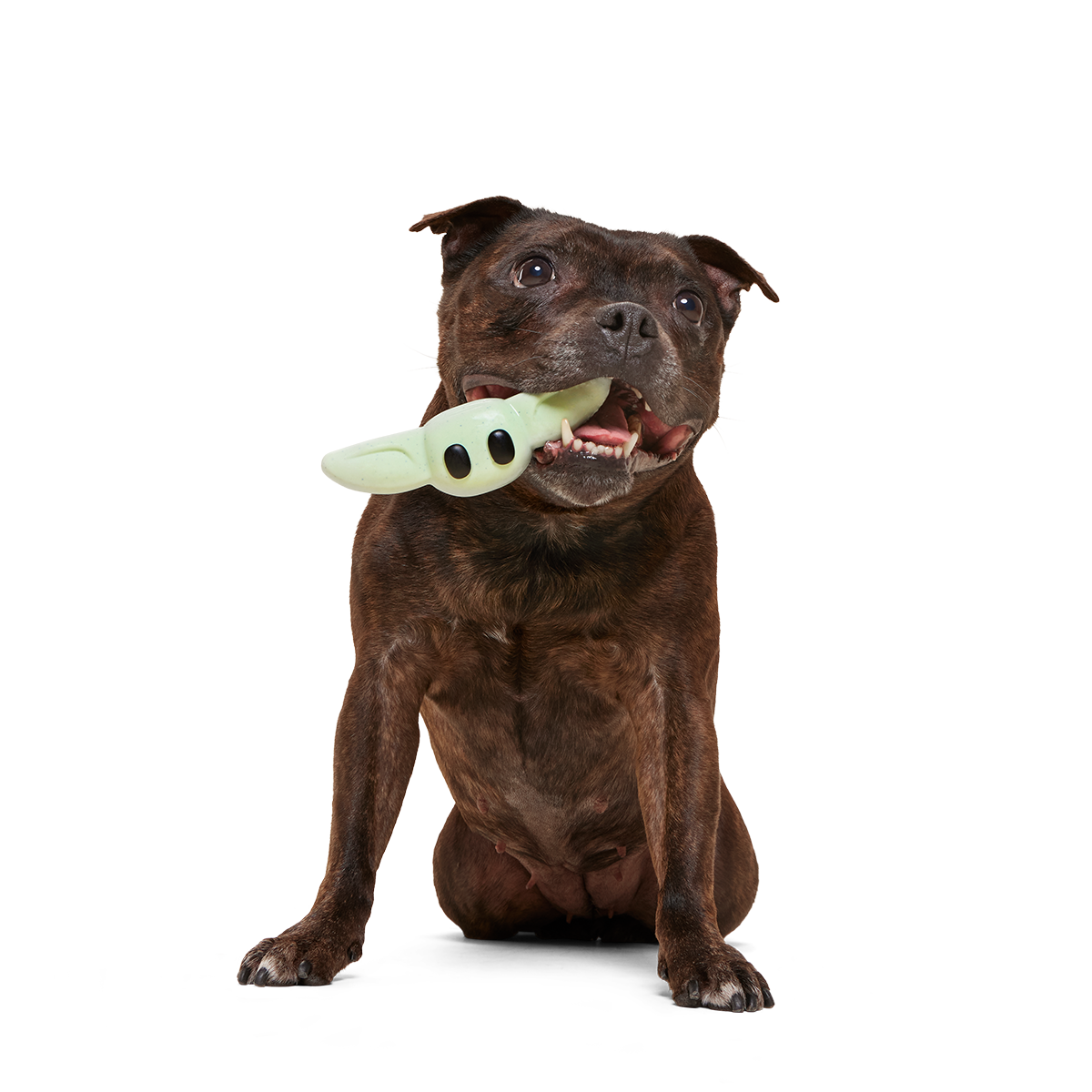 Chew and Chase Grogu™ Super Chewer Durable Gnaw Dog Toy