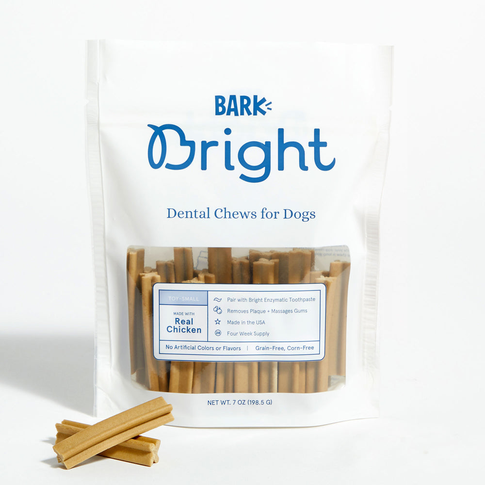 BARK Bright Dog Dental Care Kits, Chews & Toothpaste BARK