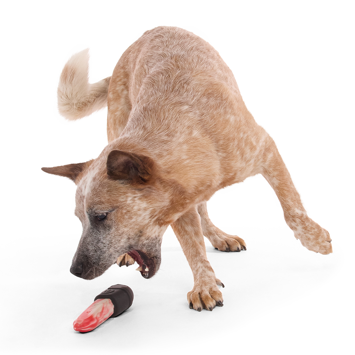 Chewy Chainsaw Super Chewer Durable Gnaw Dog Toy