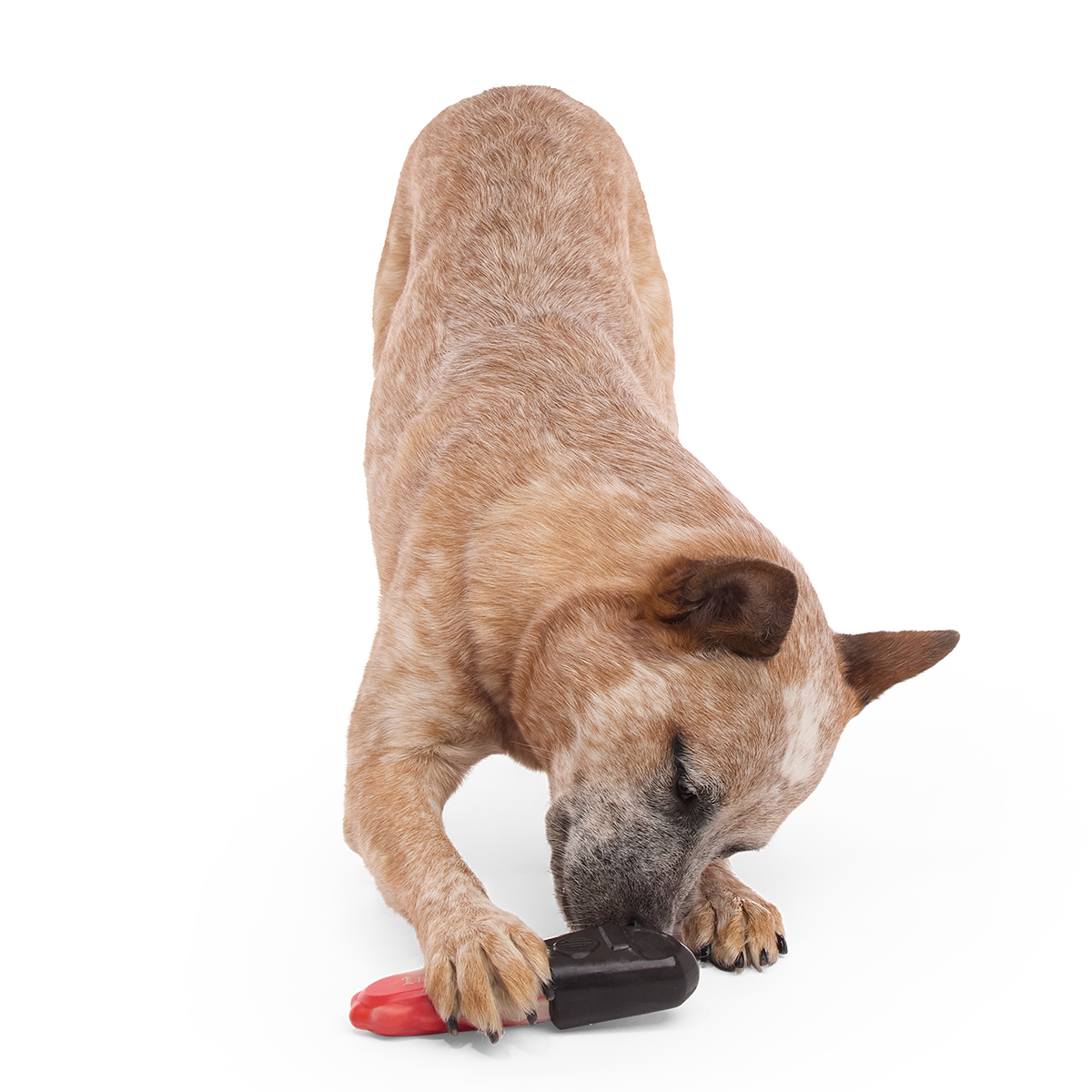 Chewy Chainsaw Super Chewer Durable Gnaw Dog Toy