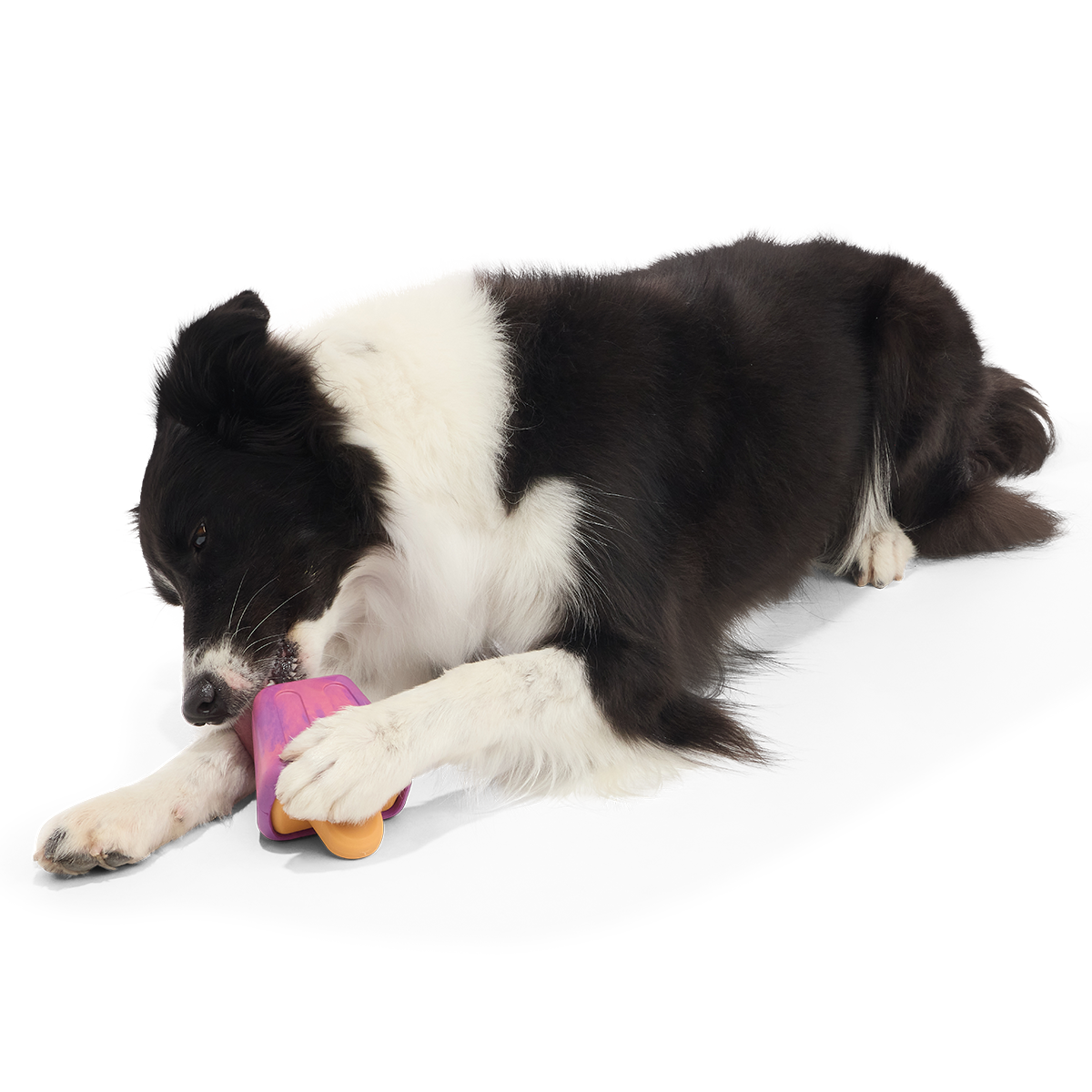 Chill N' Chomp Pupsicle Kit Super Chewer Durable Enrichment Dog Toy