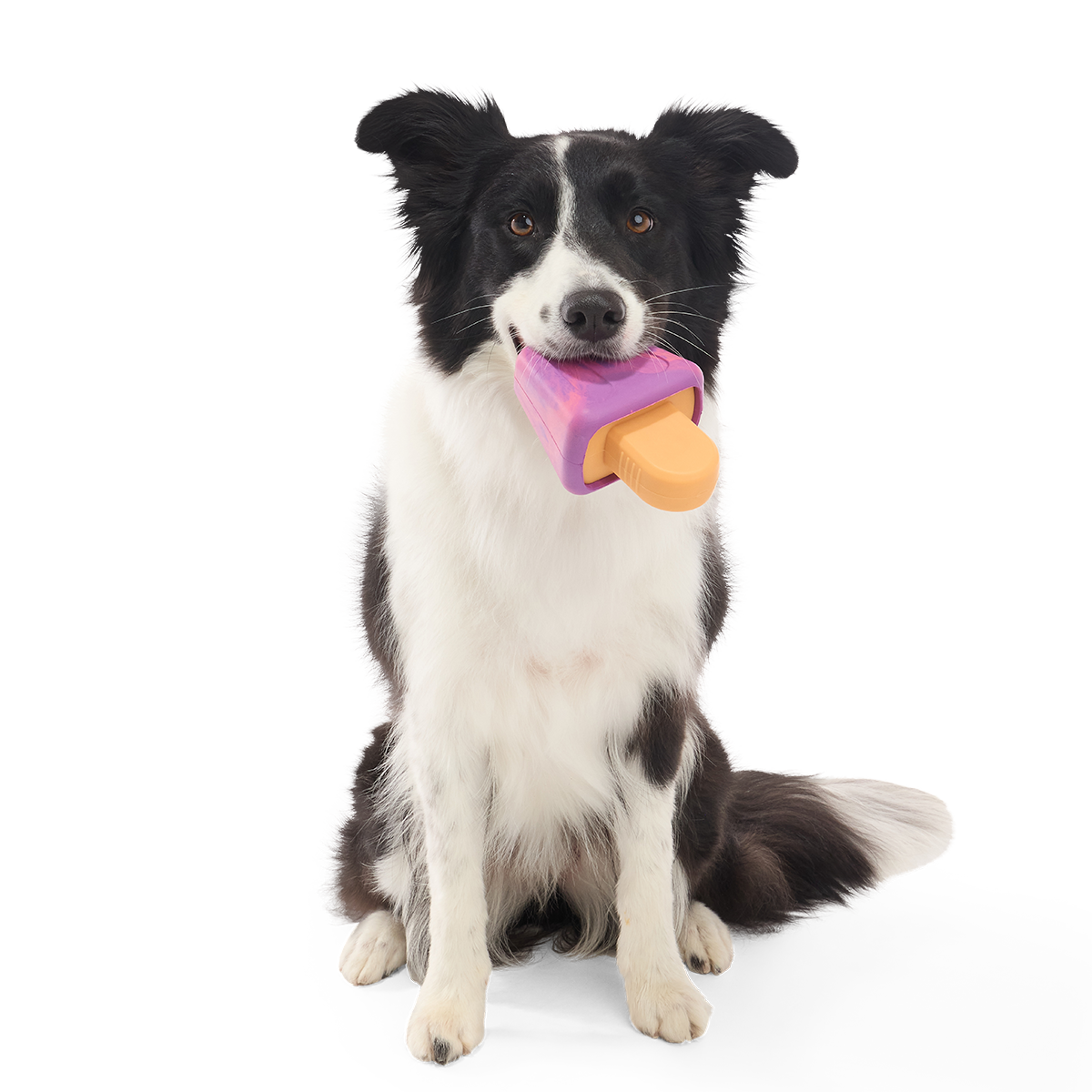 Chill N' Chomp Pupsicle Kit Super Chewer Durable Enrichment Dog Toy