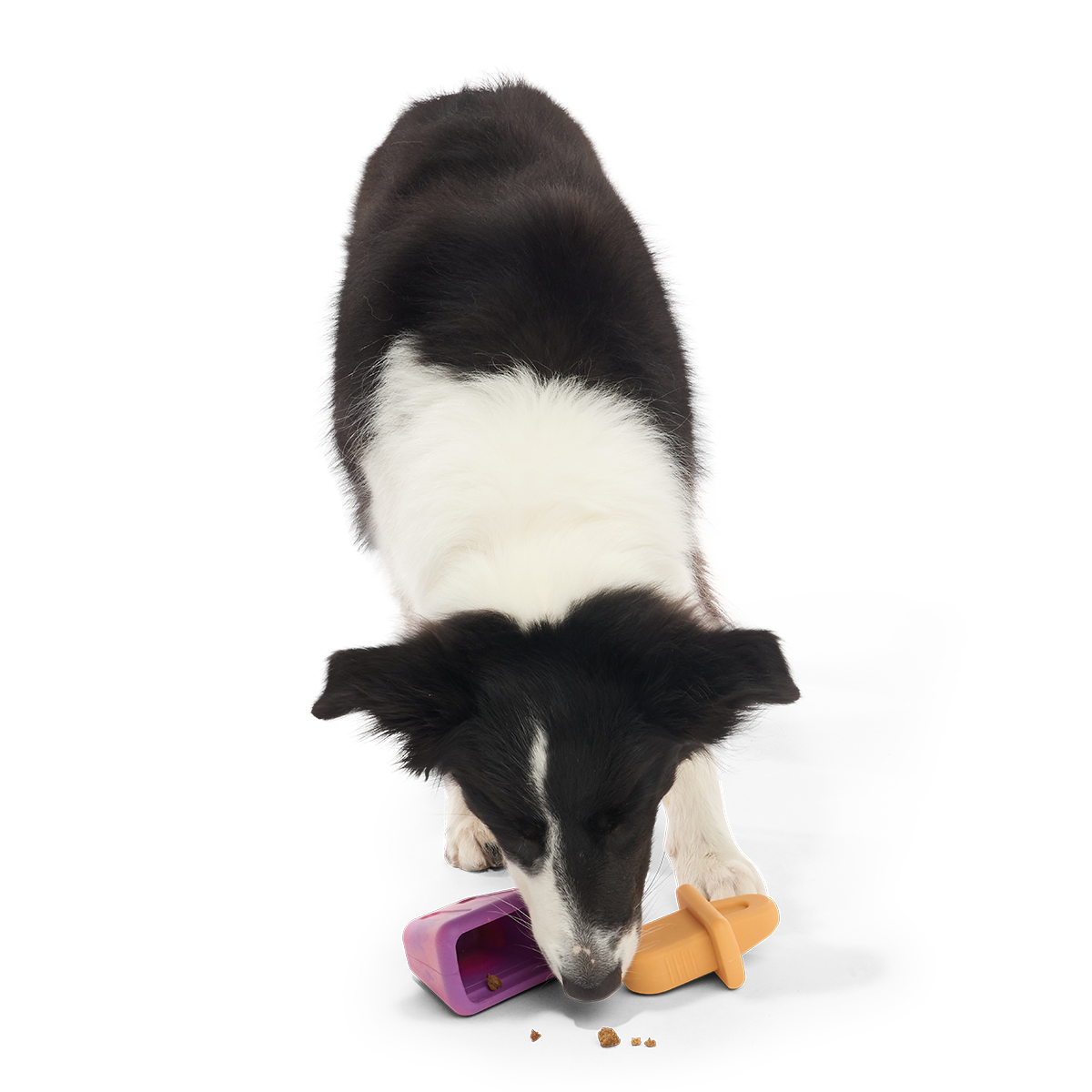 Chill N' Chomp Pupsicle Kit Super Chewer Durable Enrichment Dog Toy