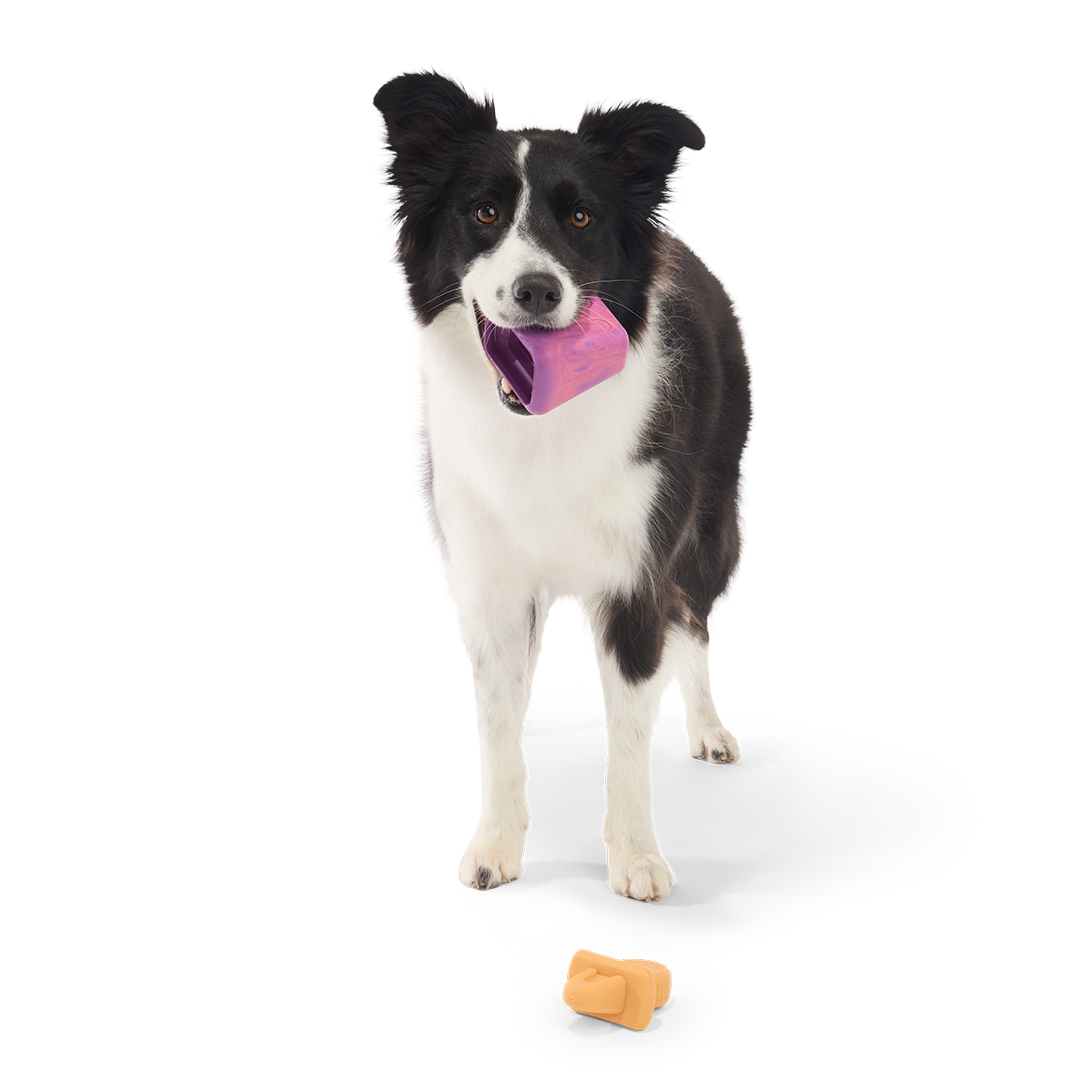 Chill N' Chomp Pupsicle Kit Super Chewer Durable Enrichment Dog Toy