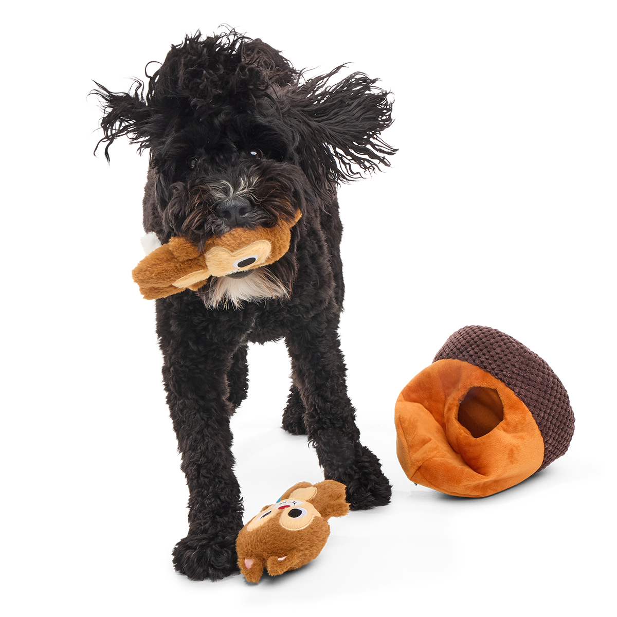 Chip 'N Dale in a Nutshell Plush Multi-Part + Enrichment Dog Toy