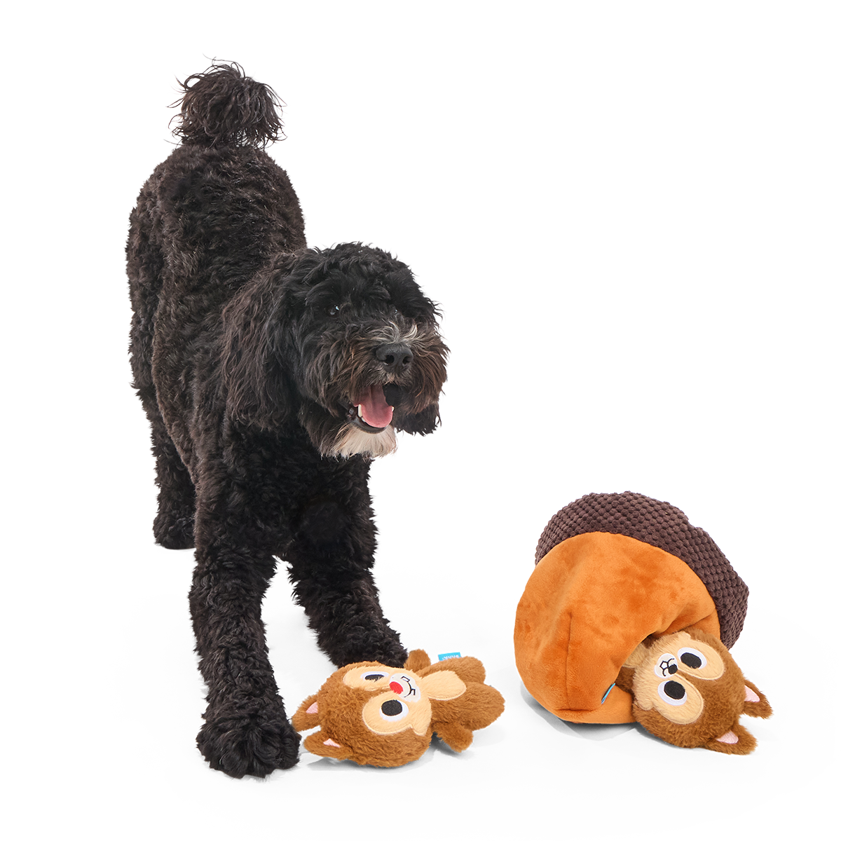 Chip 'N Dale in a Nutshell Plush Multi-Part + Enrichment Dog Toy