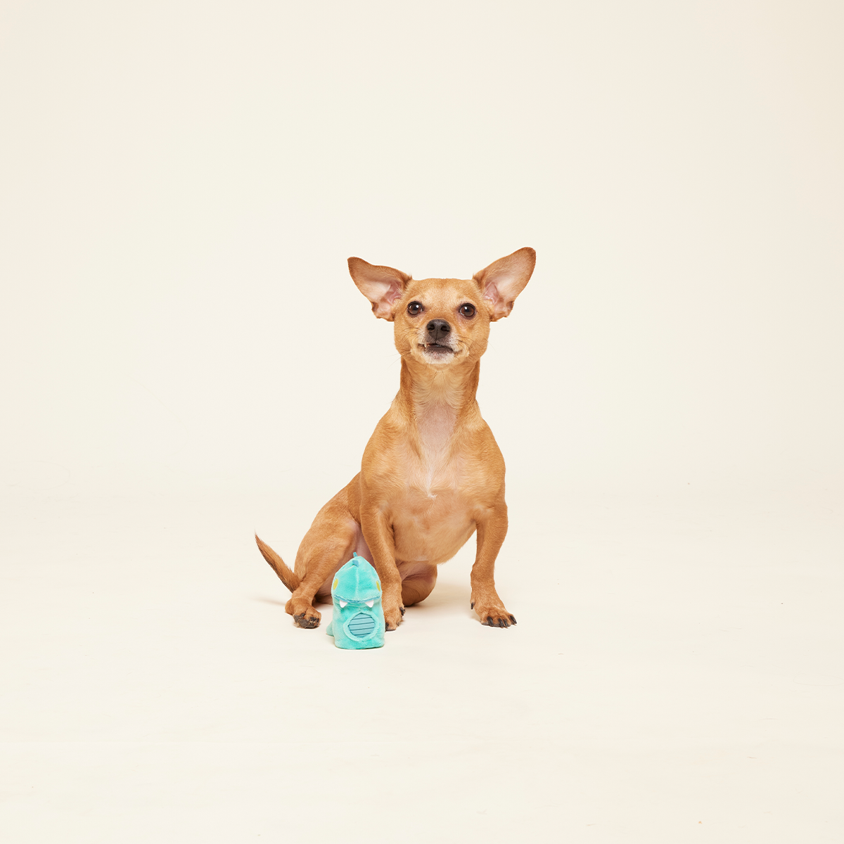 Chomposaurus Super Chewer Durable 2-in-1 Dog Toy