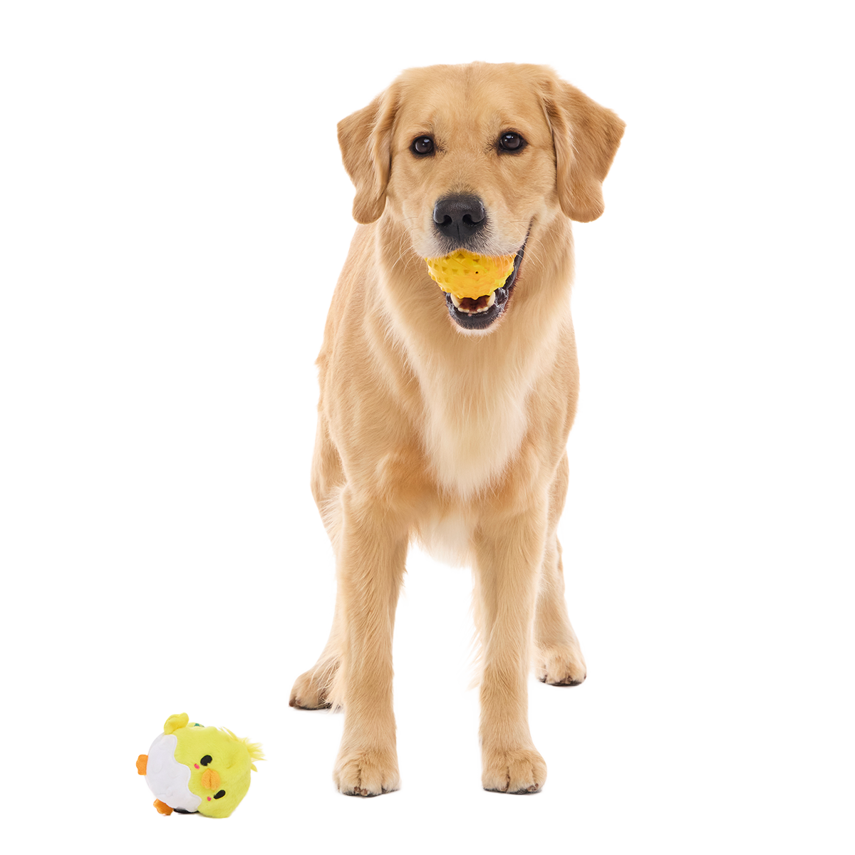 Chuck the Chick Super Chewer Durable 2-in-1 + Fetch Dog Toy