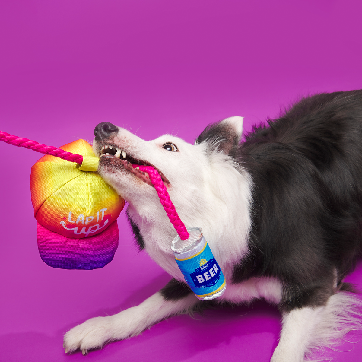 Chug n' Tug Hat Plush Dog Toy