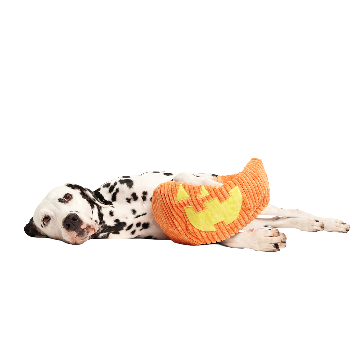 Chumpkin Plush Tug Dog Toy
