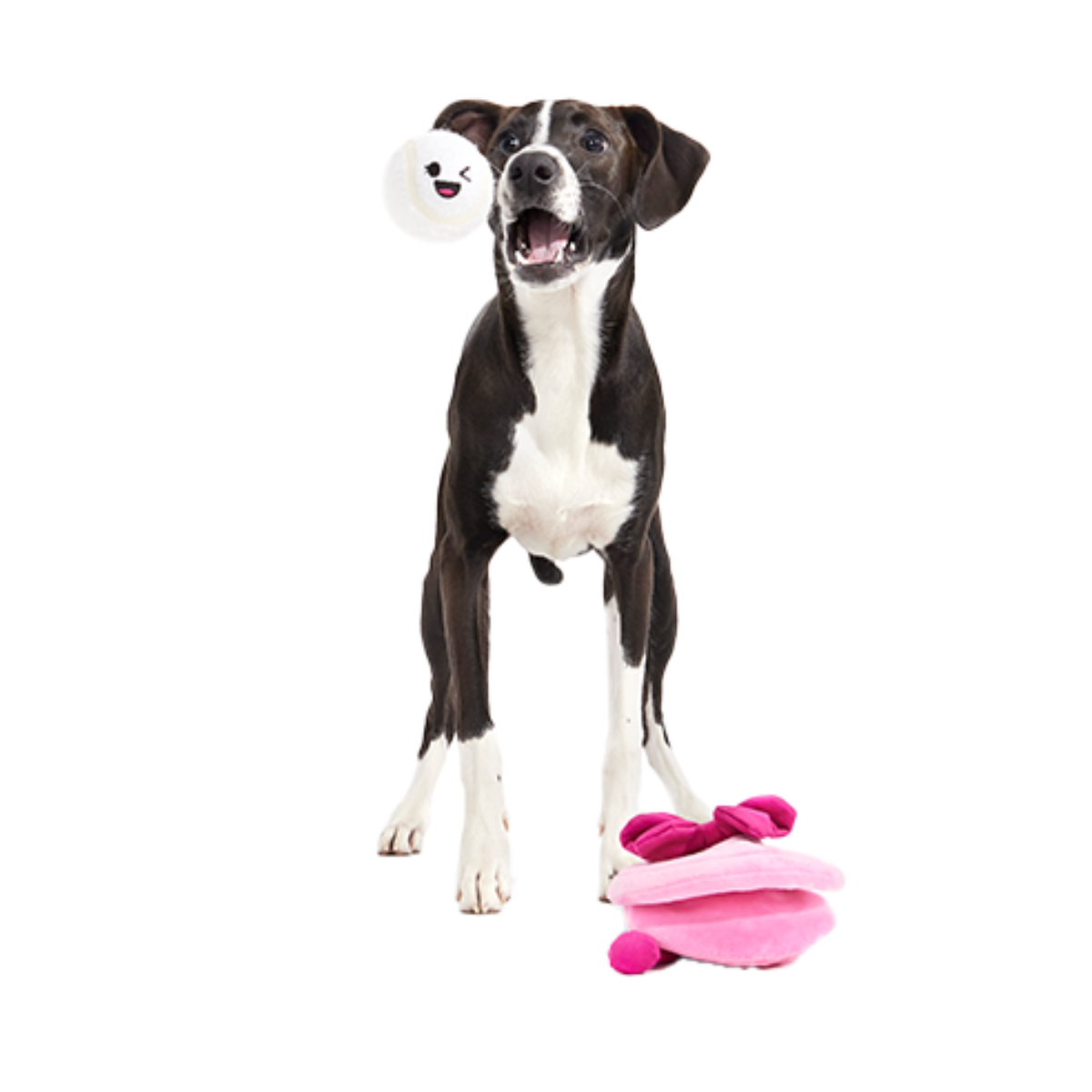 Clamantha Plush Multi-Part + Fetch Dog Toy