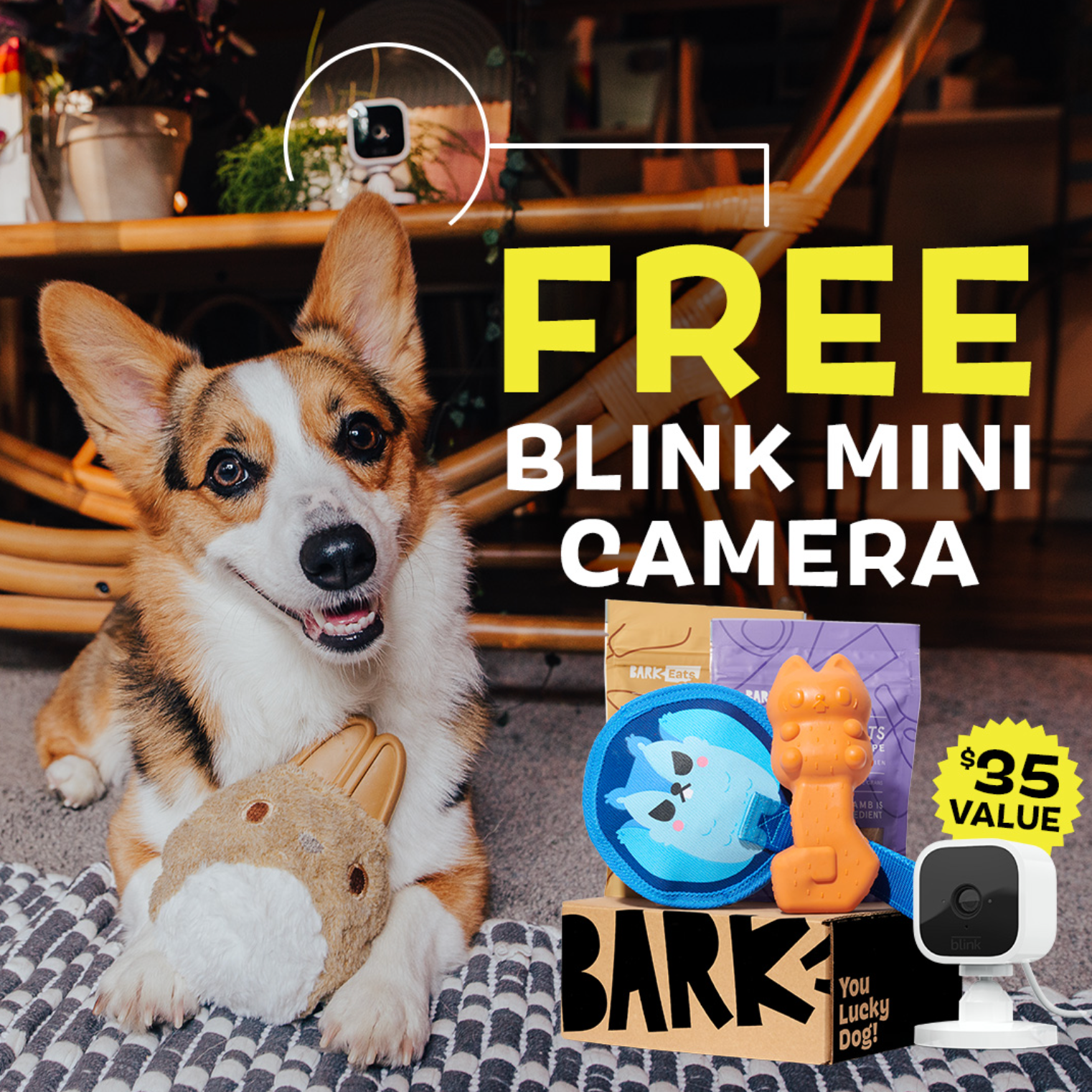 SuperChewer + Free Blink Camera: 12 Month Subscription