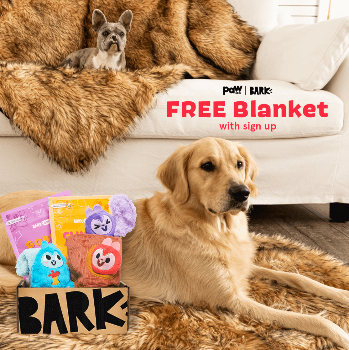 BarkBox + Free Paw Blanket: 6 Month Subscription