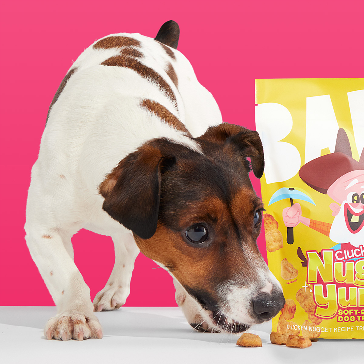Clucky Nuggy Yumz Soft+Chewy Chicken Dog Treats, 24 oz