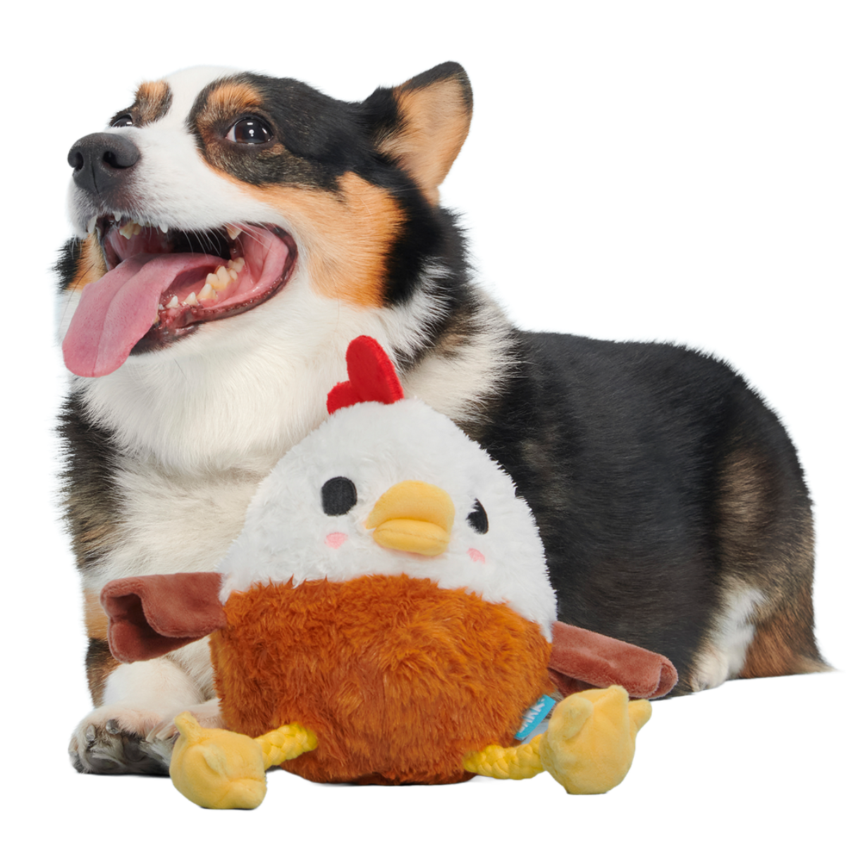 Cock-A-Doodle Dude Plush Tug + Fetch Dog Toy