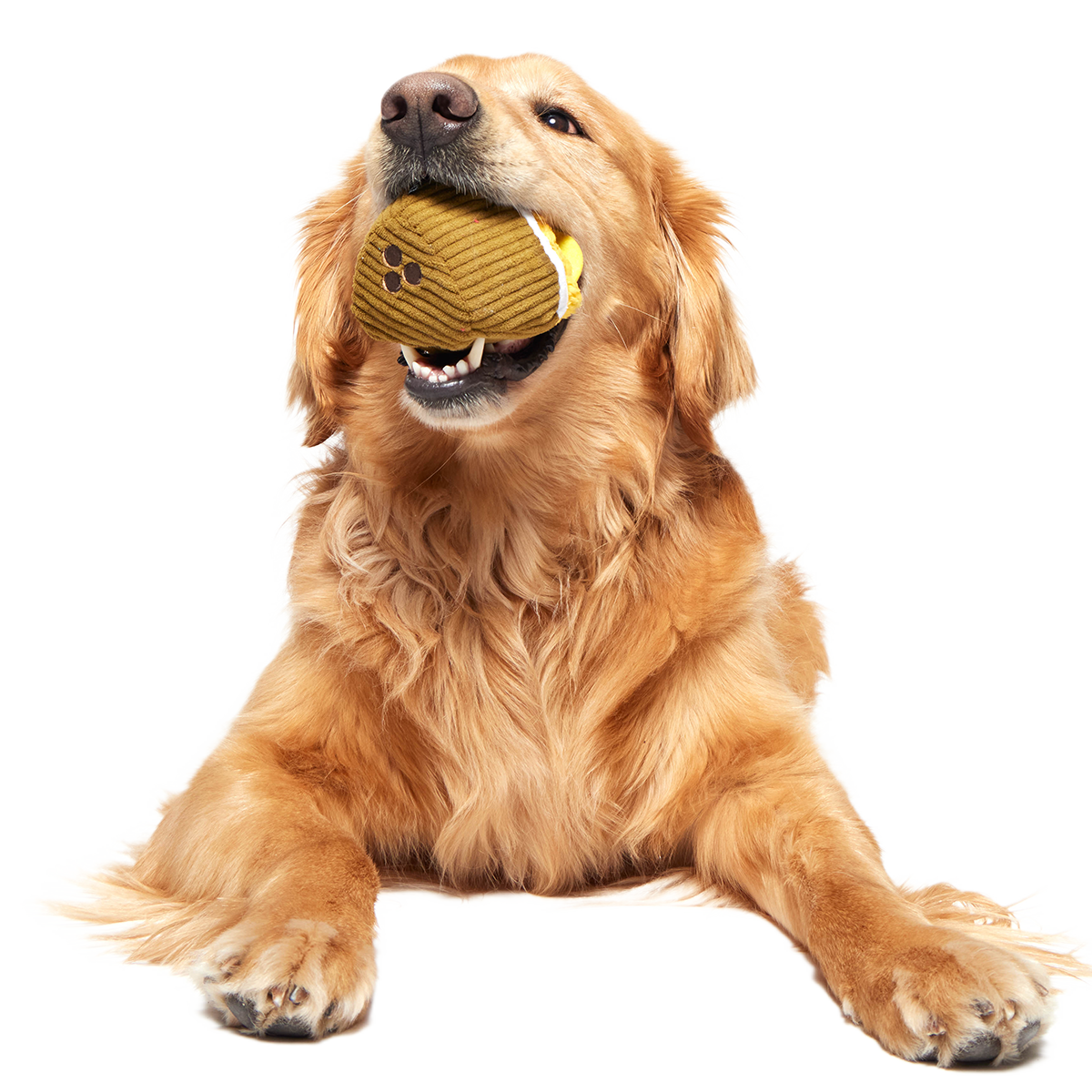 Coco-Mutt Cocktail Super Chewer Durable 2-in-1 Fetch + Enrichment Dog Toy
