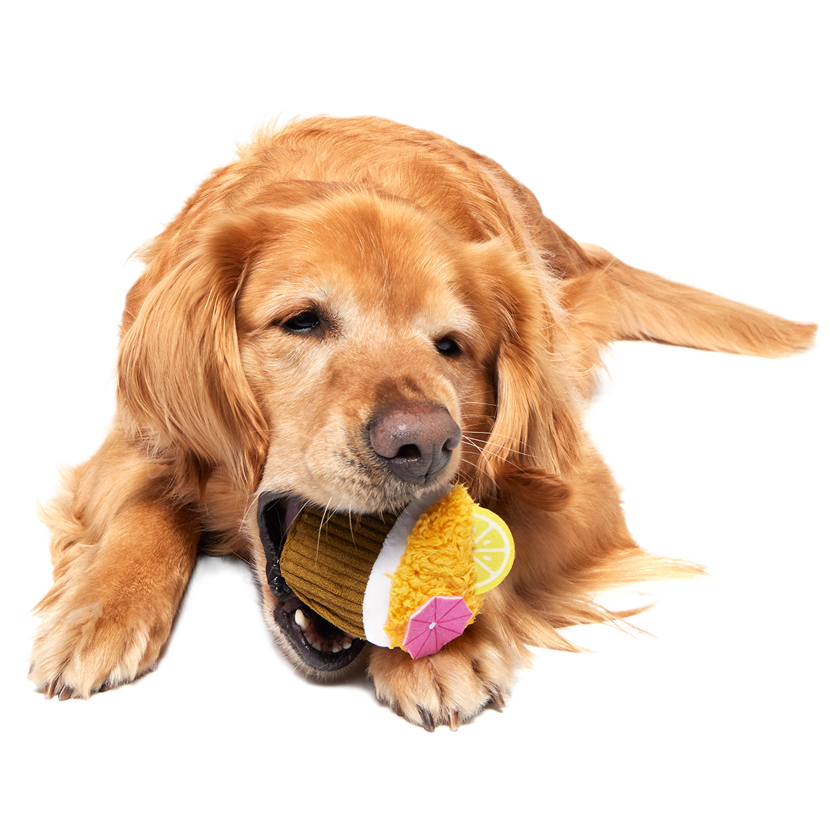 Coco-Mutt Cocktail Super Chewer Durable 2-in-1 Fetch + Enrichment Dog Toy
