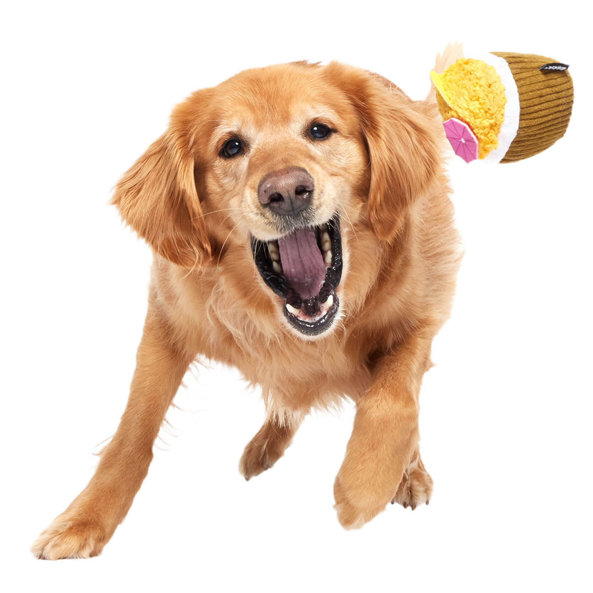 Coco-Mutt Cocktail Super Chewer Durable 2-in-1 Fetch + Enrichment Dog Toy