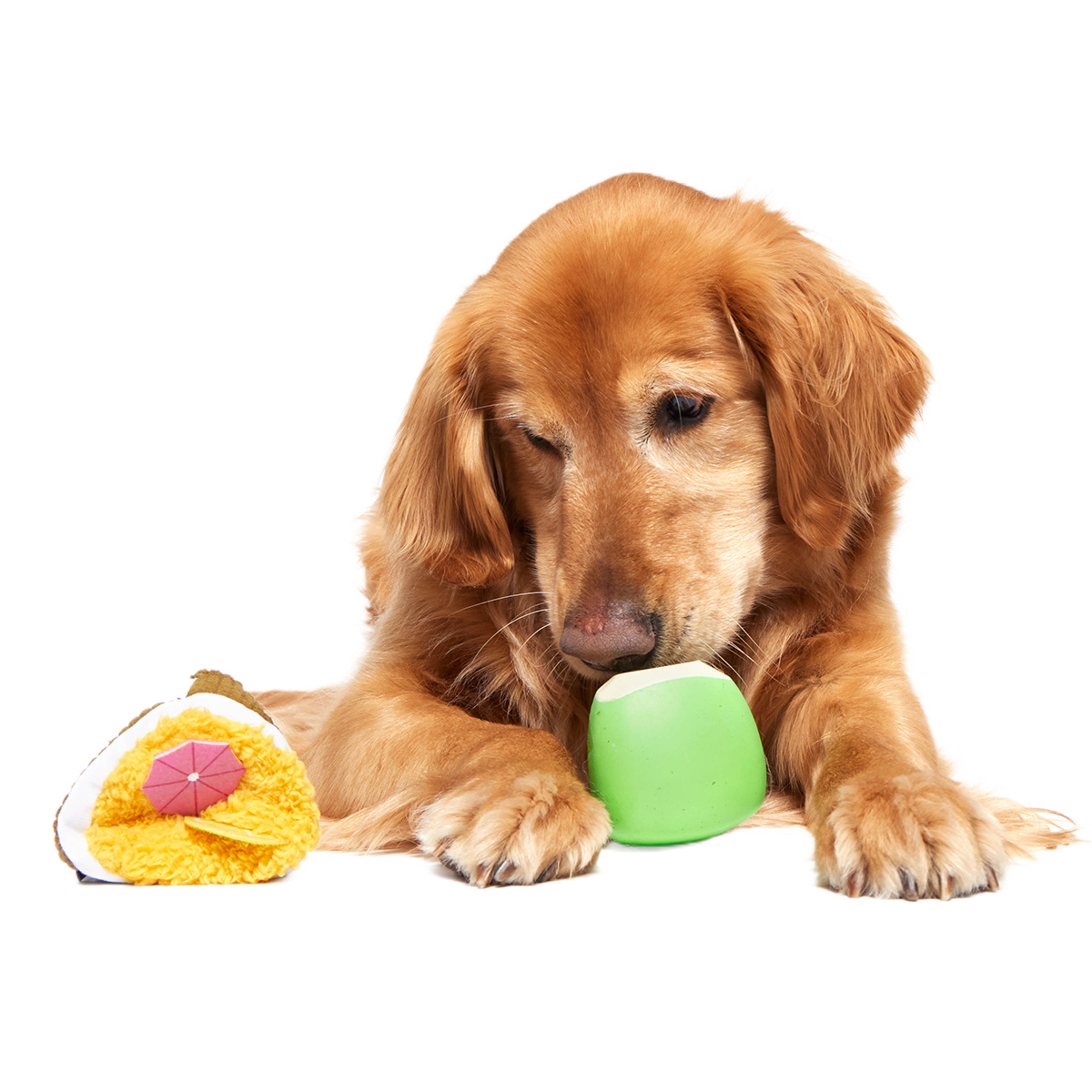 Coco-Mutt Cocktail Super Chewer Durable 2-in-1 Fetch + Enrichment Dog Toy